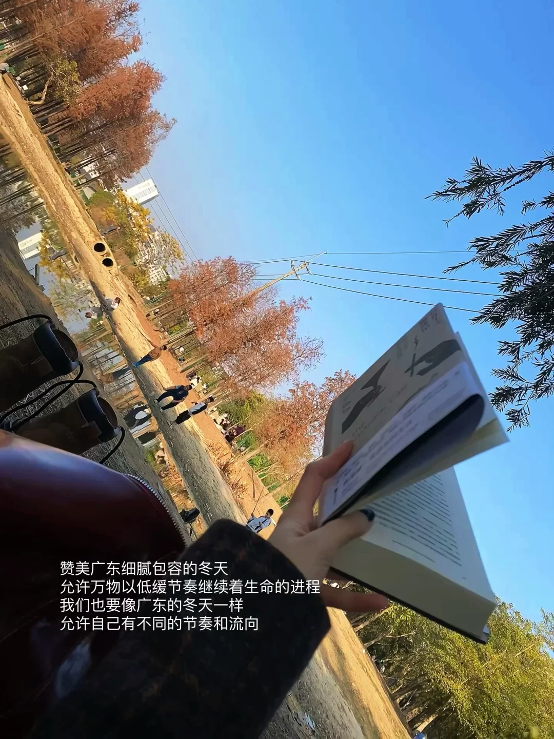 独处，晒太阳，看书｜给心力一个喘息的出口