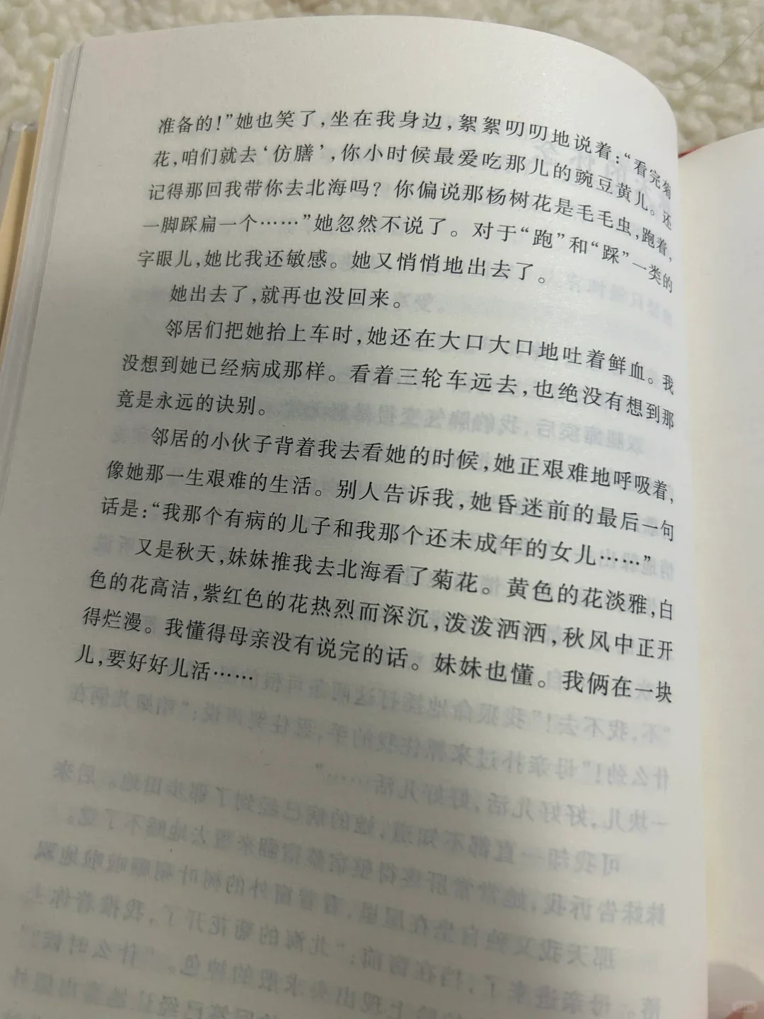 2023我爱上了看书