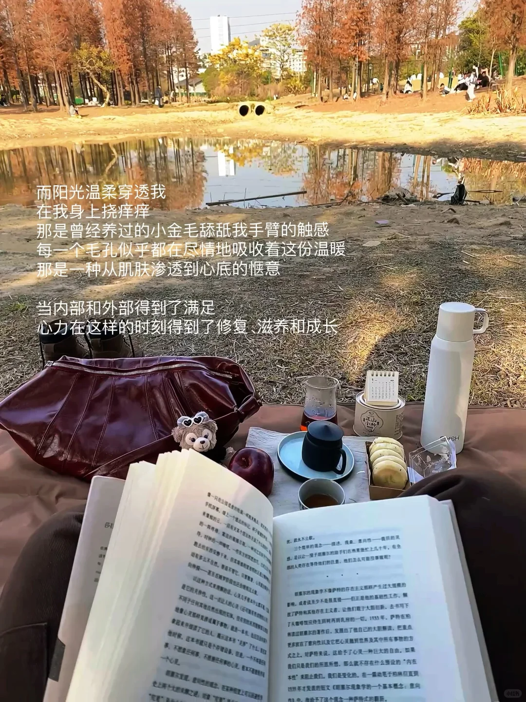 独处，晒太阳，看书｜给心力一个喘息的出口