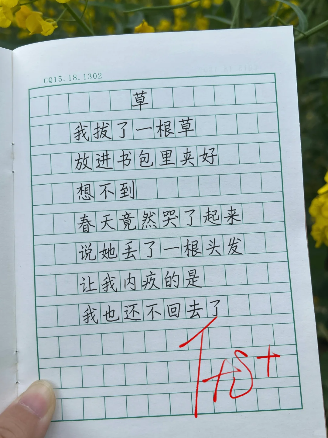 可以写进作文里的童诗❤️