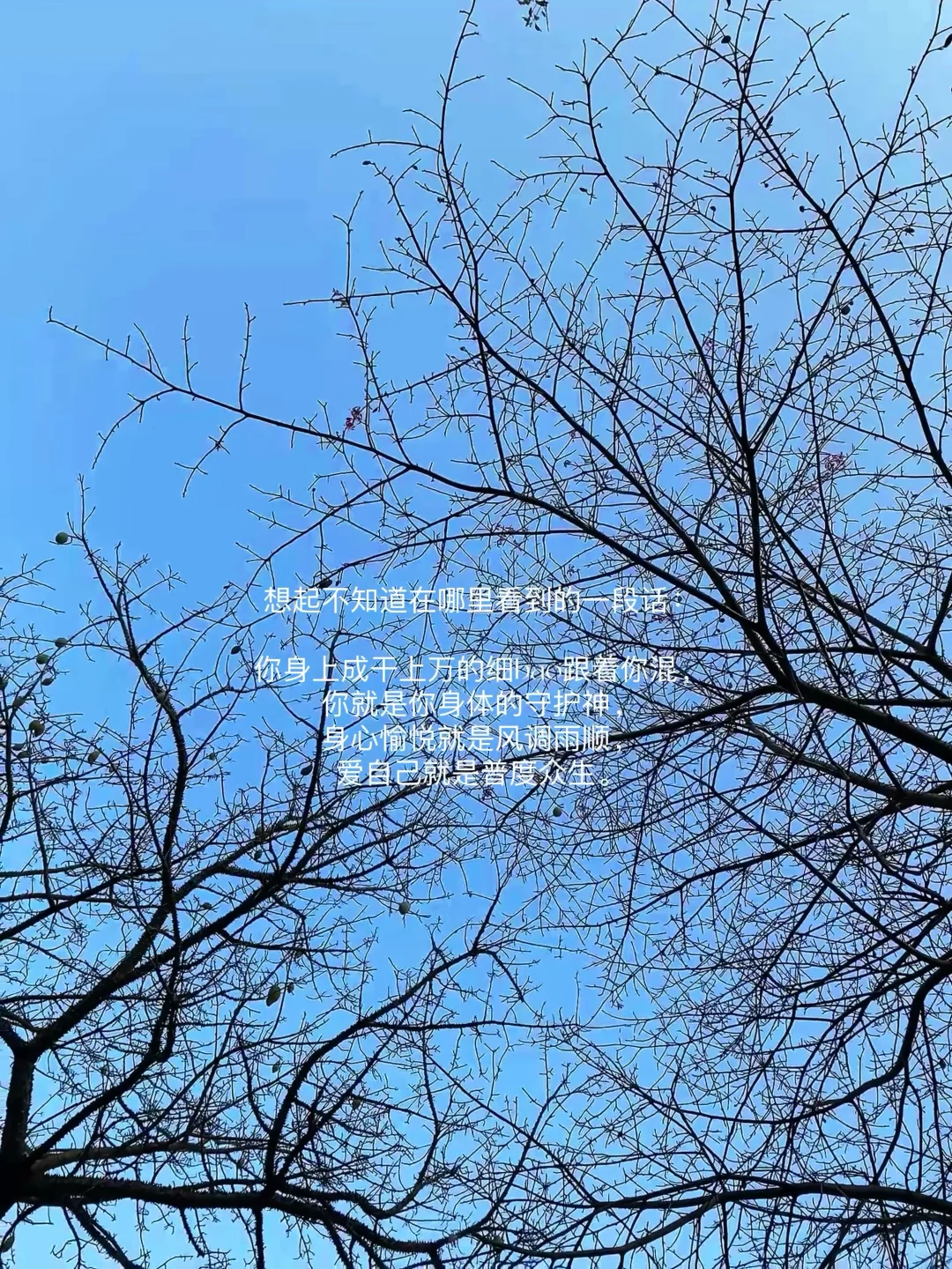 独处，晒太阳，看书｜给心力一个喘息的出口