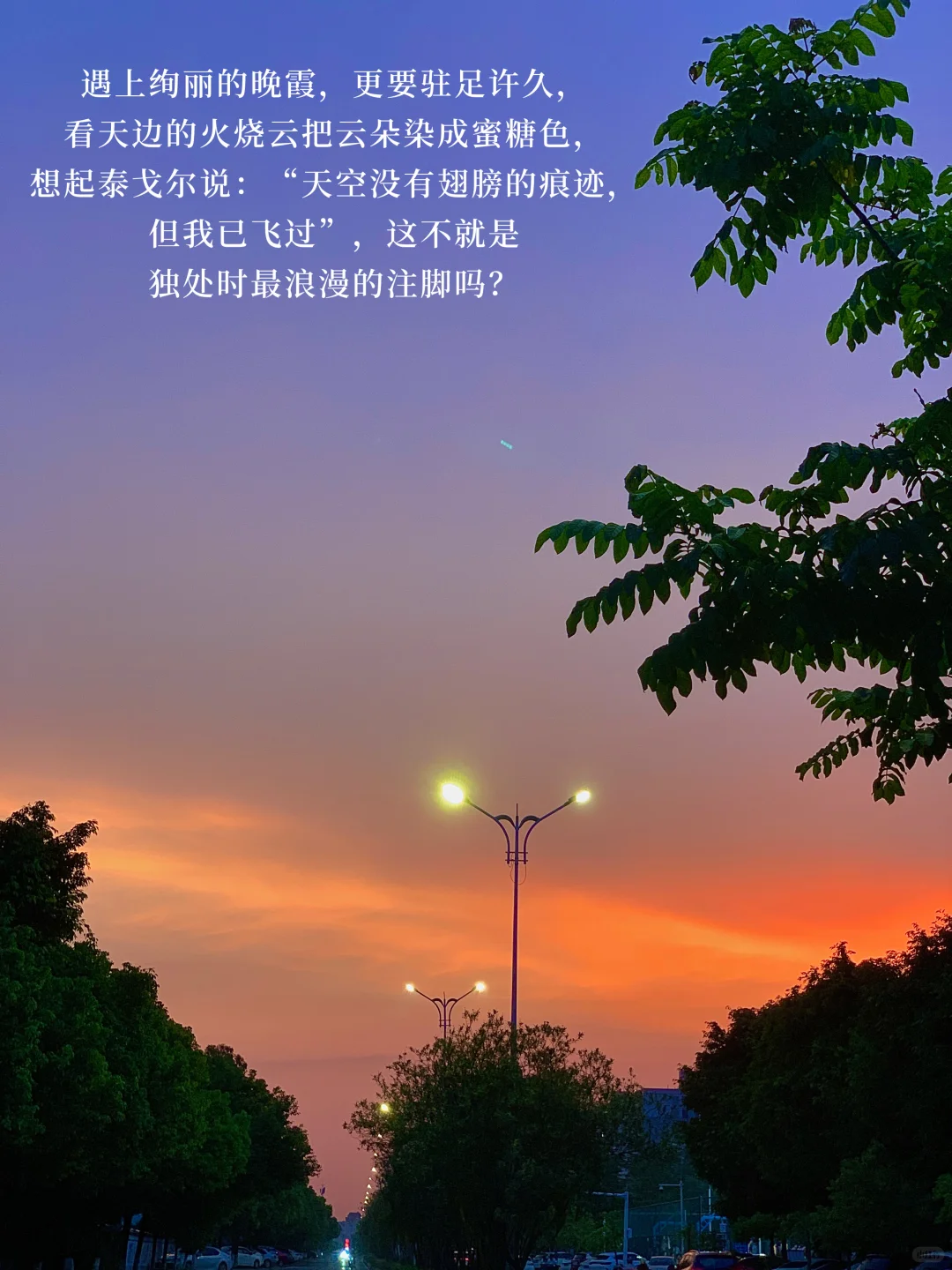我的周末日常：享受独处，阅读、散步、听音乐🎵