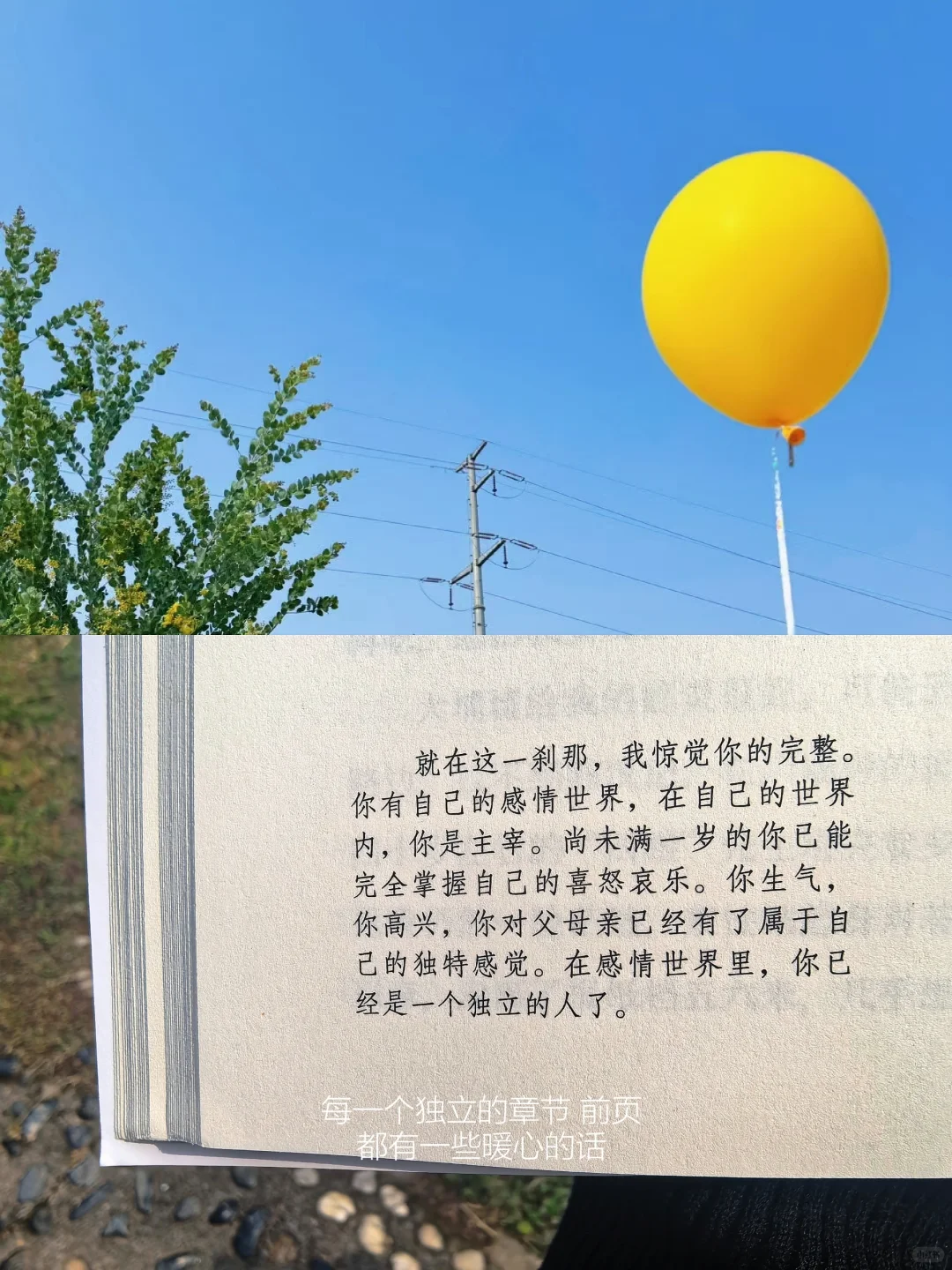 我的解压方式：阅读、散步、逛公园、不联系