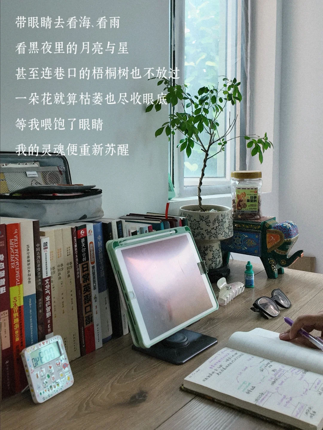🎉 2025年7月，我的读书博主之旅开启啦！