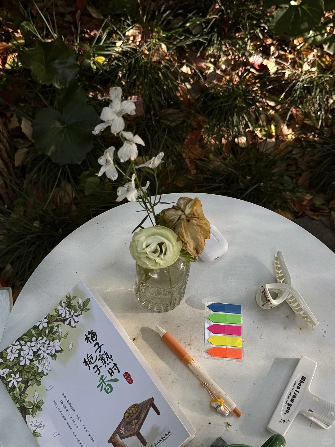 我始终喜欢阅读和独处