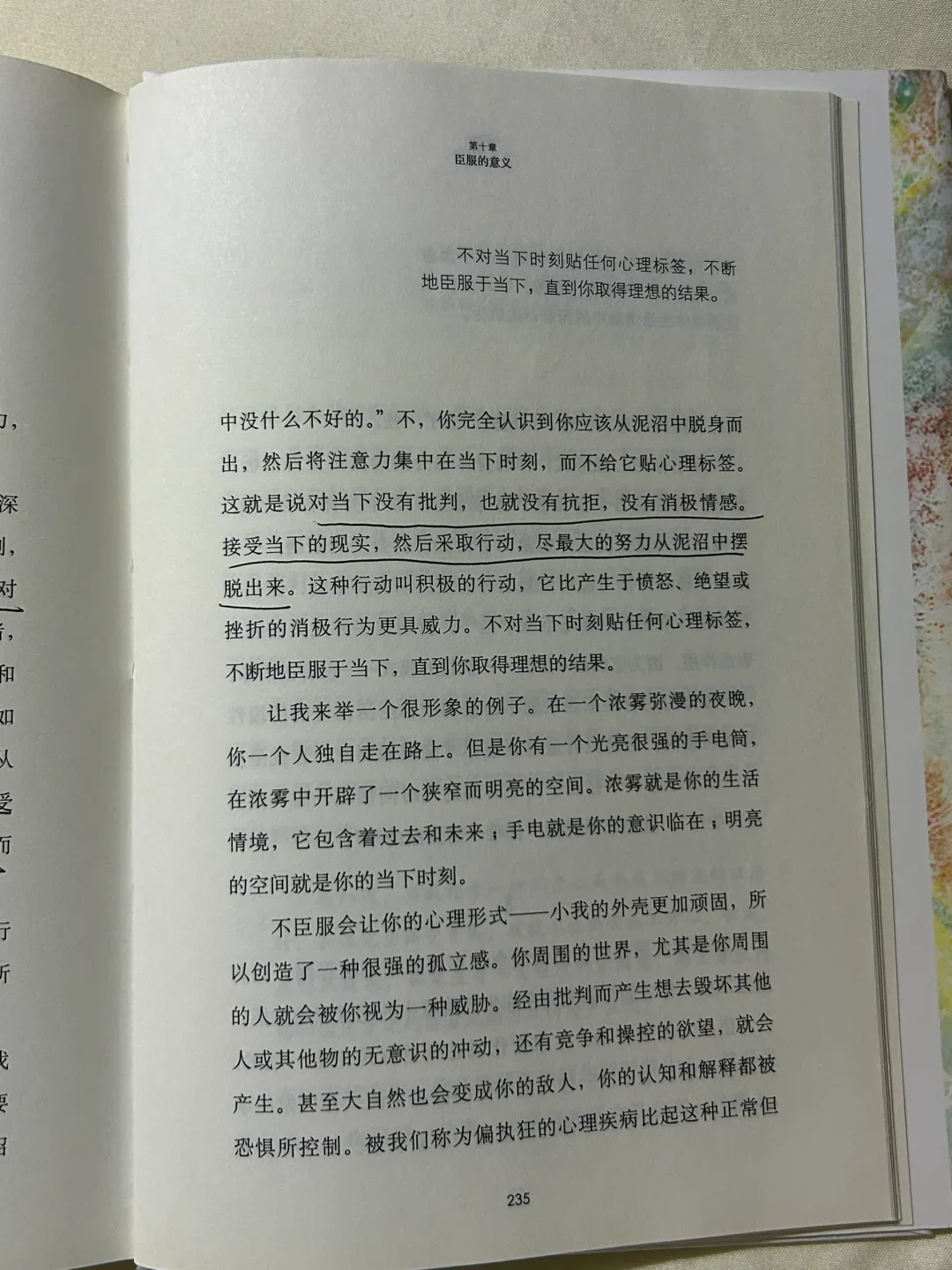 2023我爱上了看书