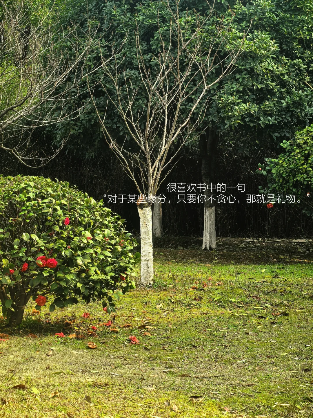 我的解压方式：阅读、散步、逛公园、不联系