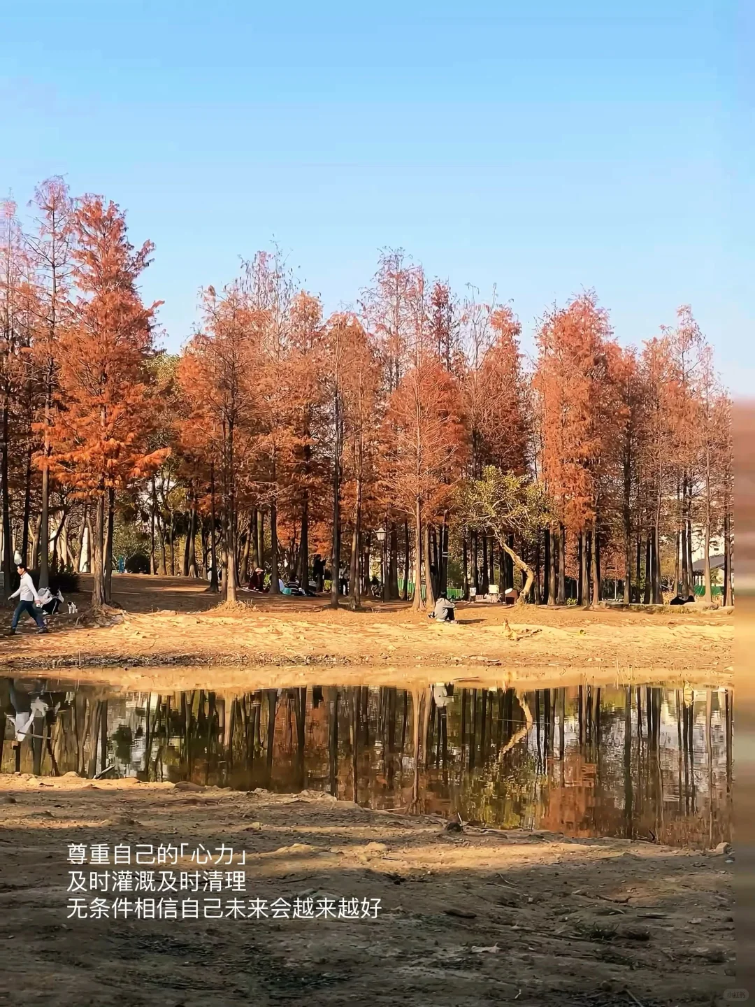 独处，晒太阳，看书｜给心力一个喘息的出口