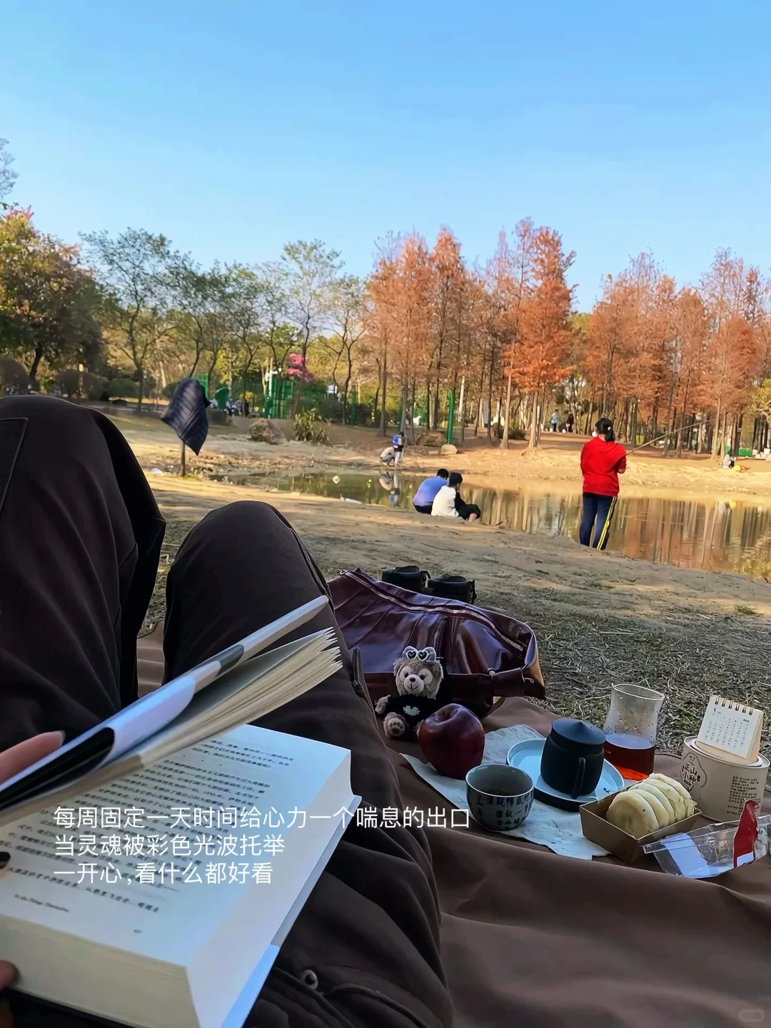 独处，晒太阳，看书｜给心力一个喘息的出口