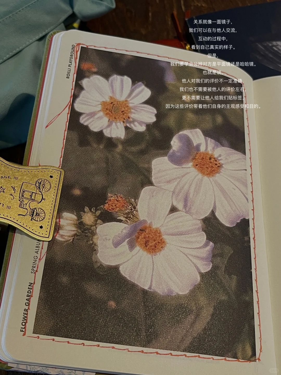 我不停的读书，只是为了理解自己的孤独