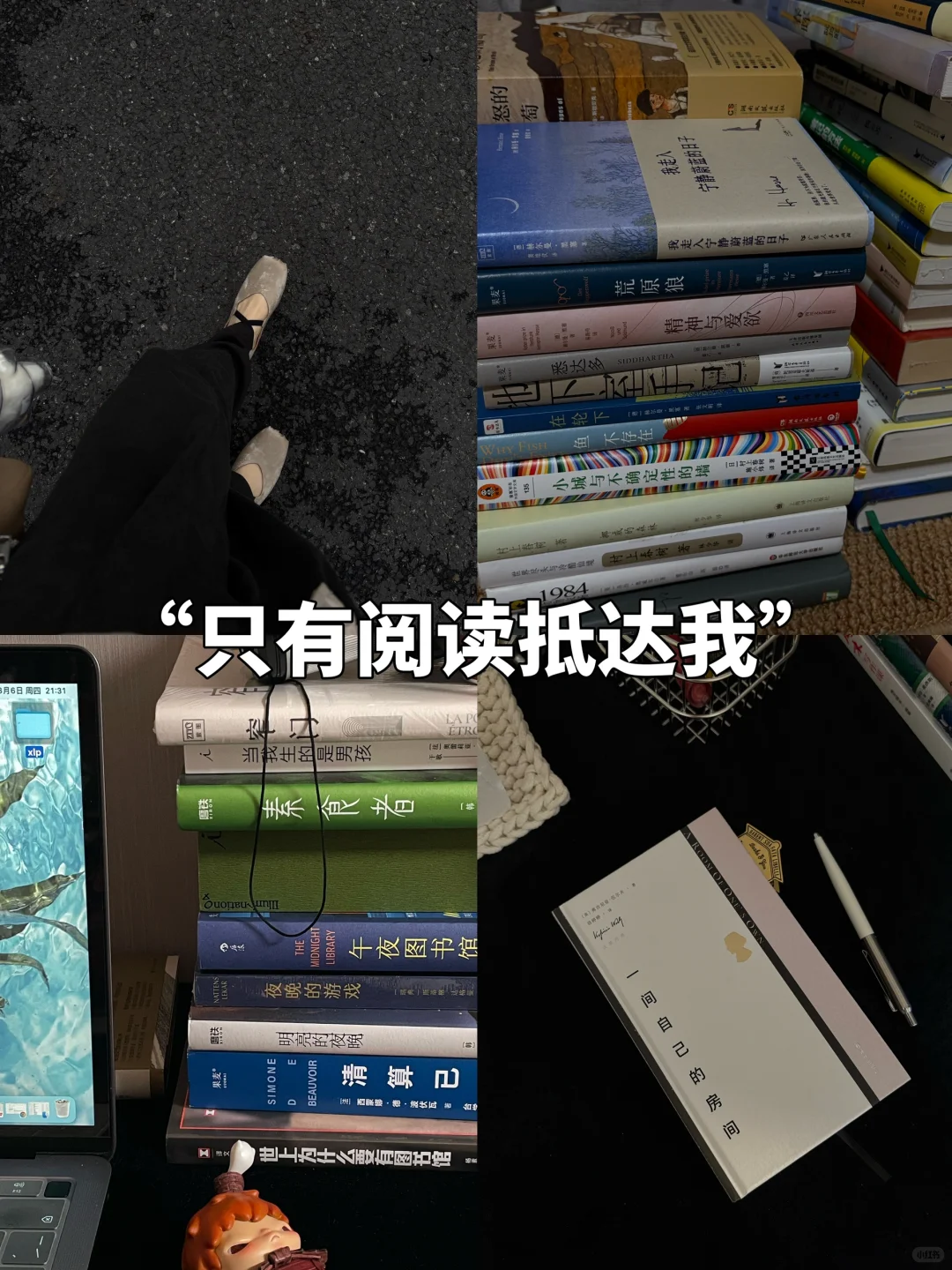 只有阅读抵达我