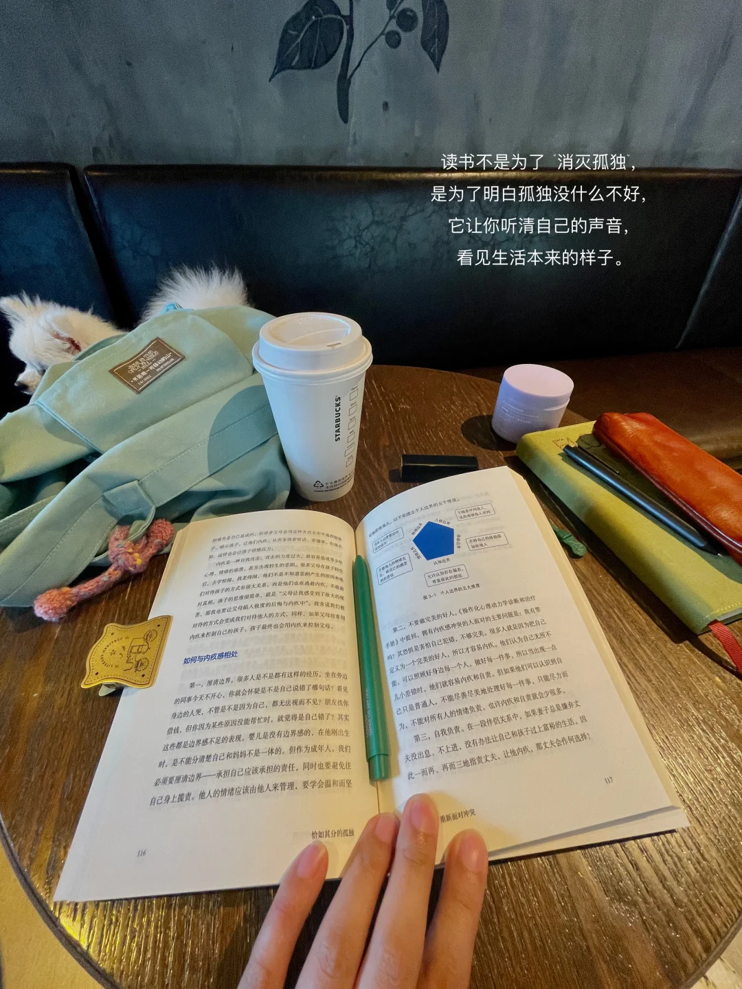 我不停的读书，只是为了理解自己的孤独