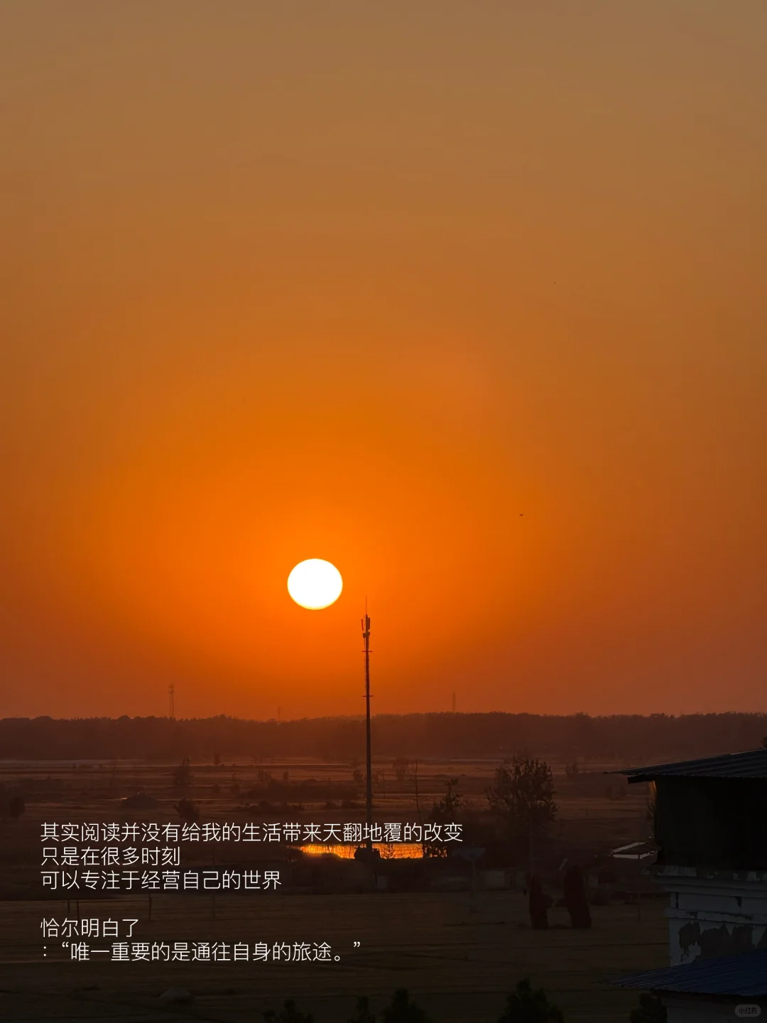 正在读书 突然意识到阅读对我的改变