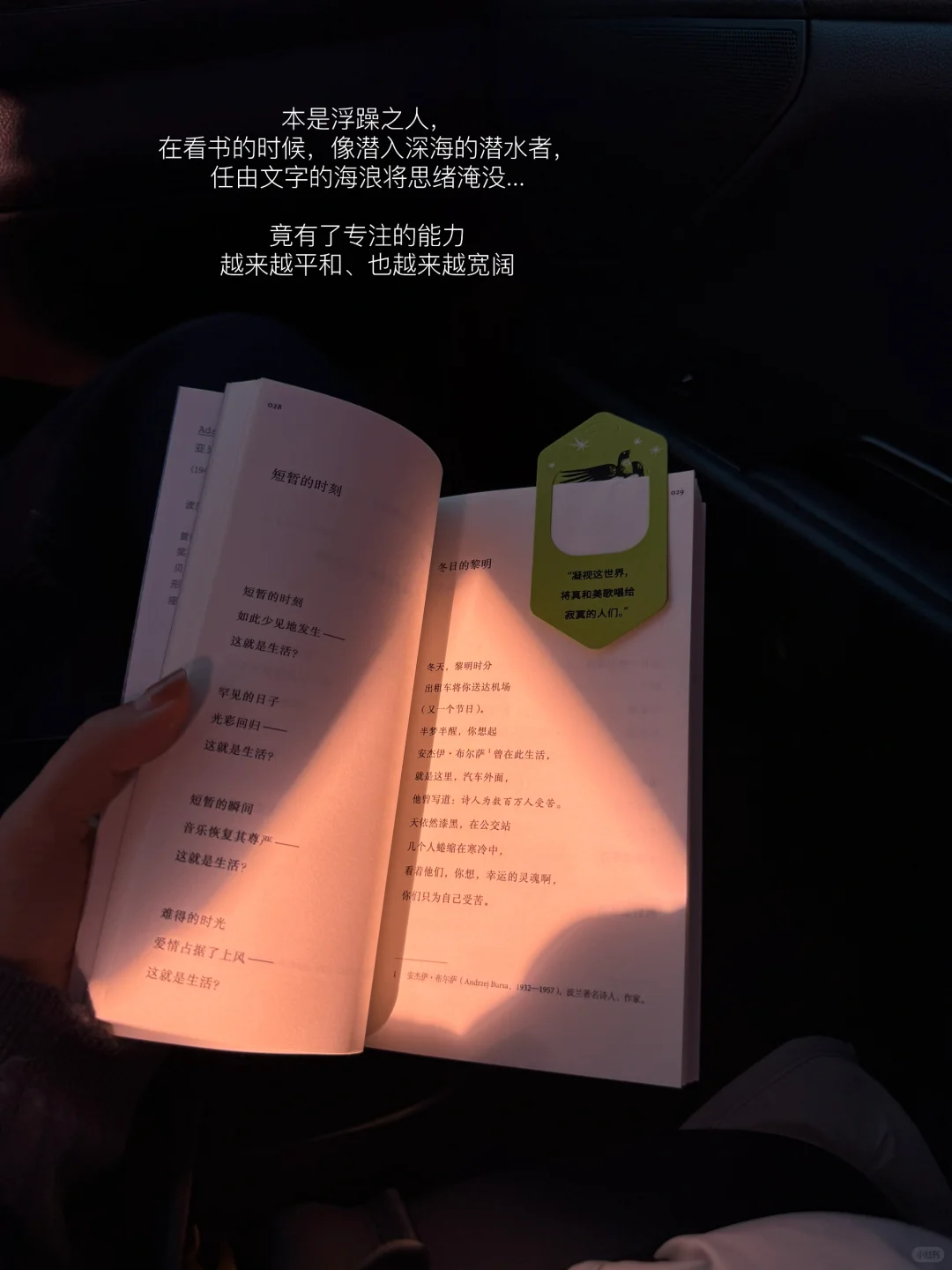正在读书 突然意识到阅读对我的改变