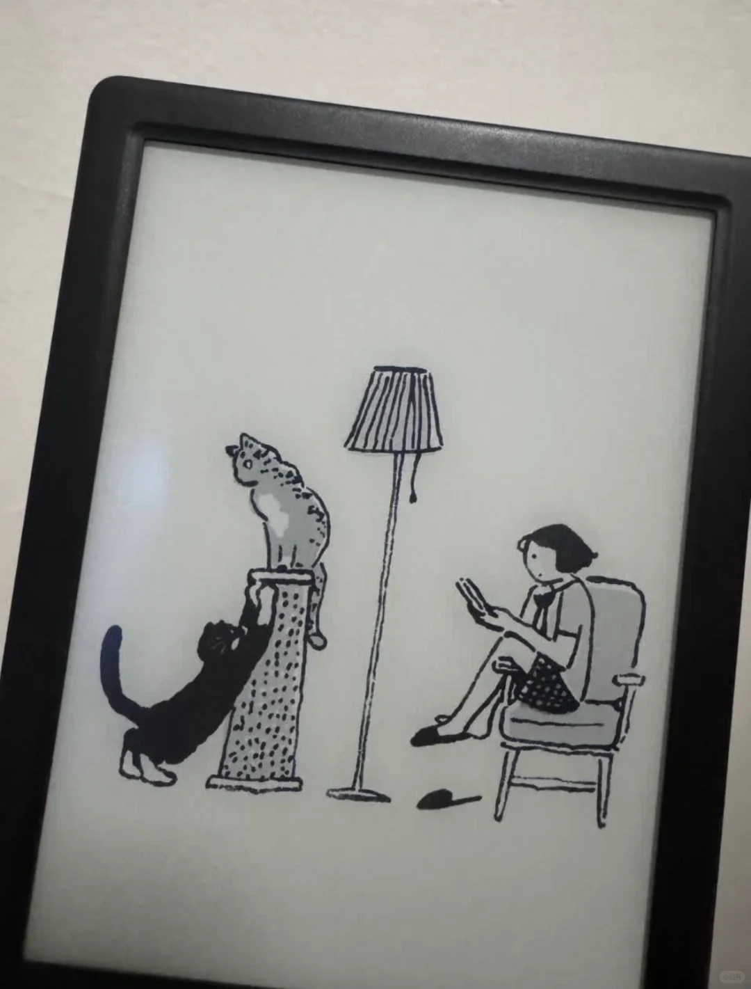 太好看了掌阅ireader4
