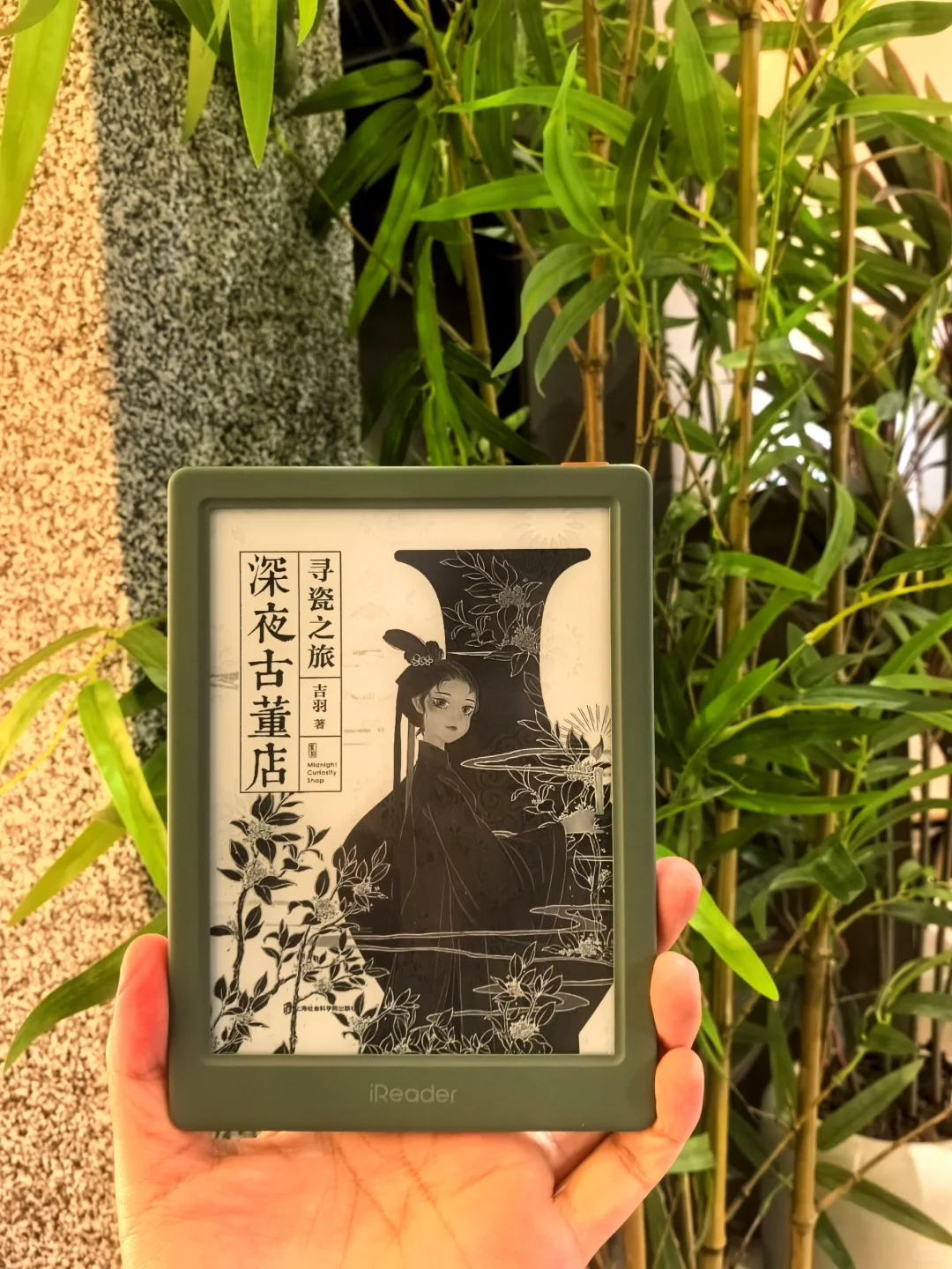 高温天就是要多看绿色呀～