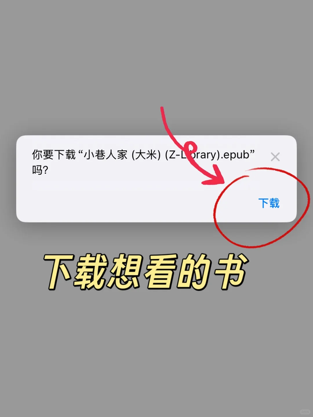 📱iPhone图书APP+Zlib=王炸组合｜读书自由