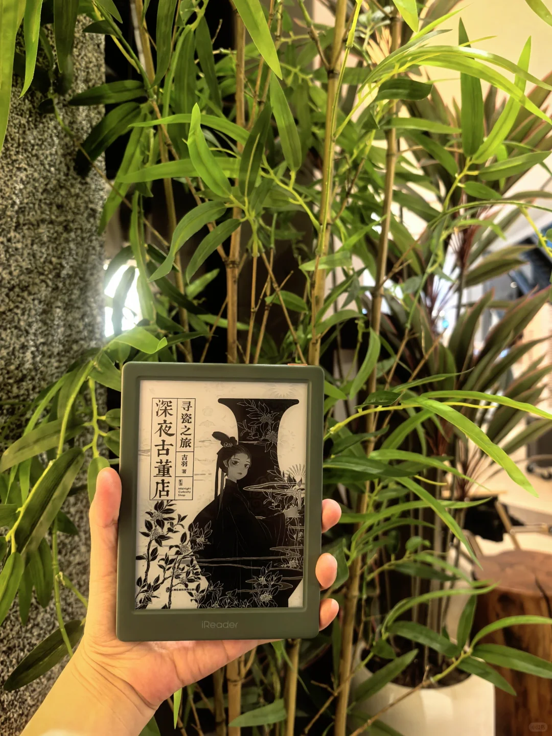 高温天就是要多看绿色呀～