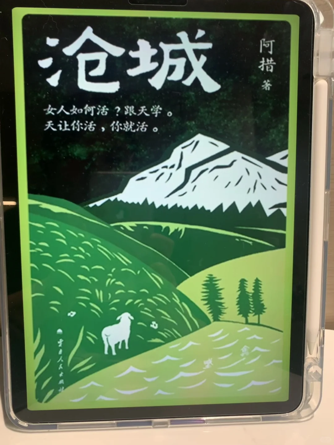 📚终于实现电子书自由啦