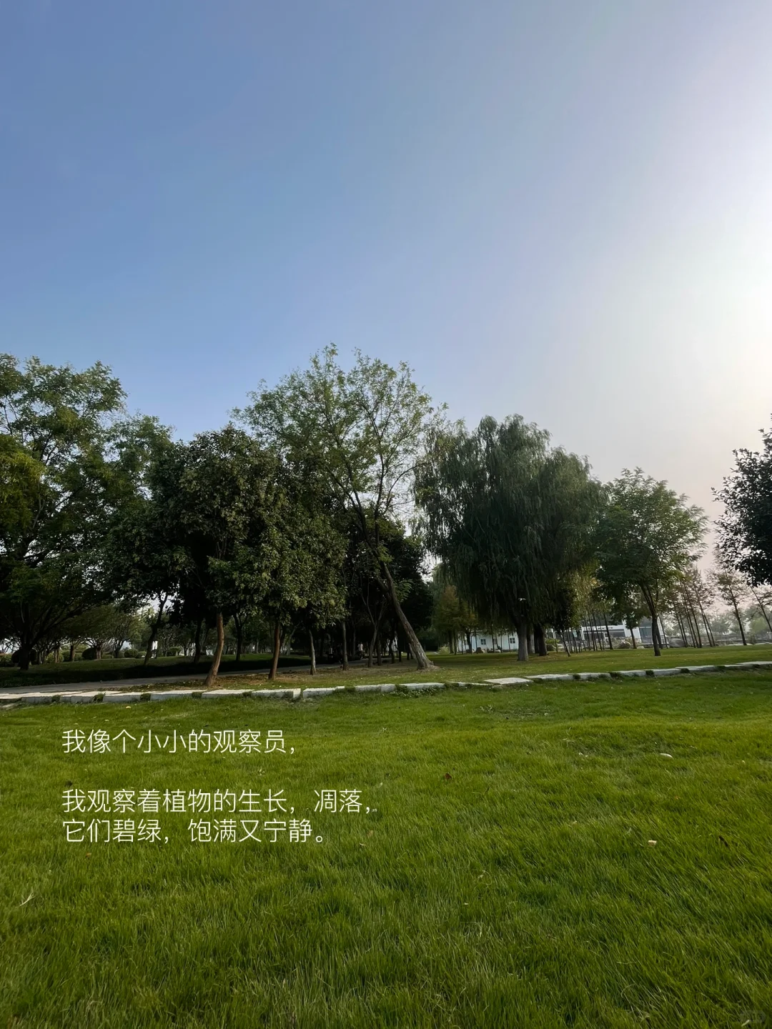 我的解压方式：晒太阳 读书 逛公园 不联系