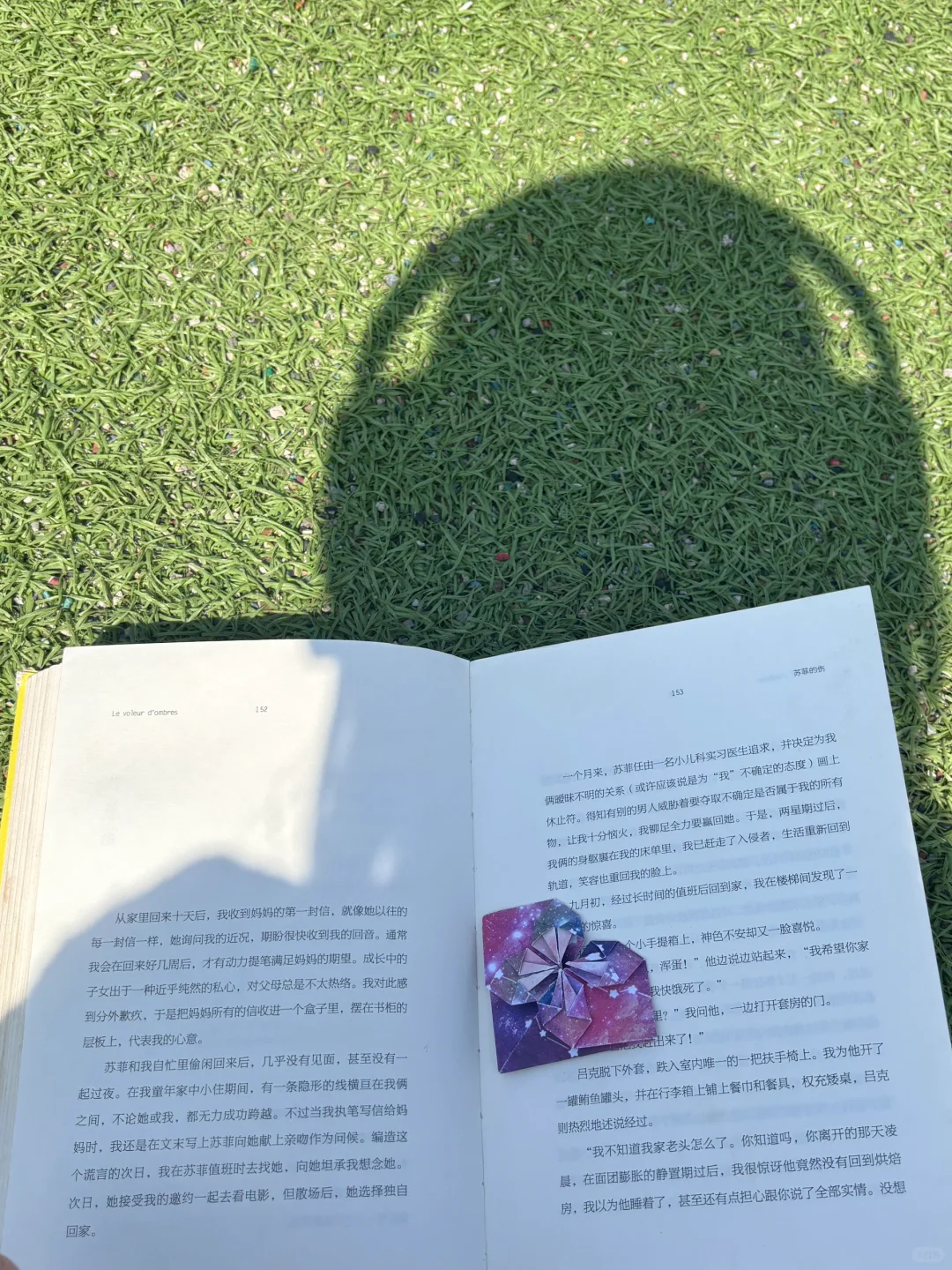 阳光☀️正好