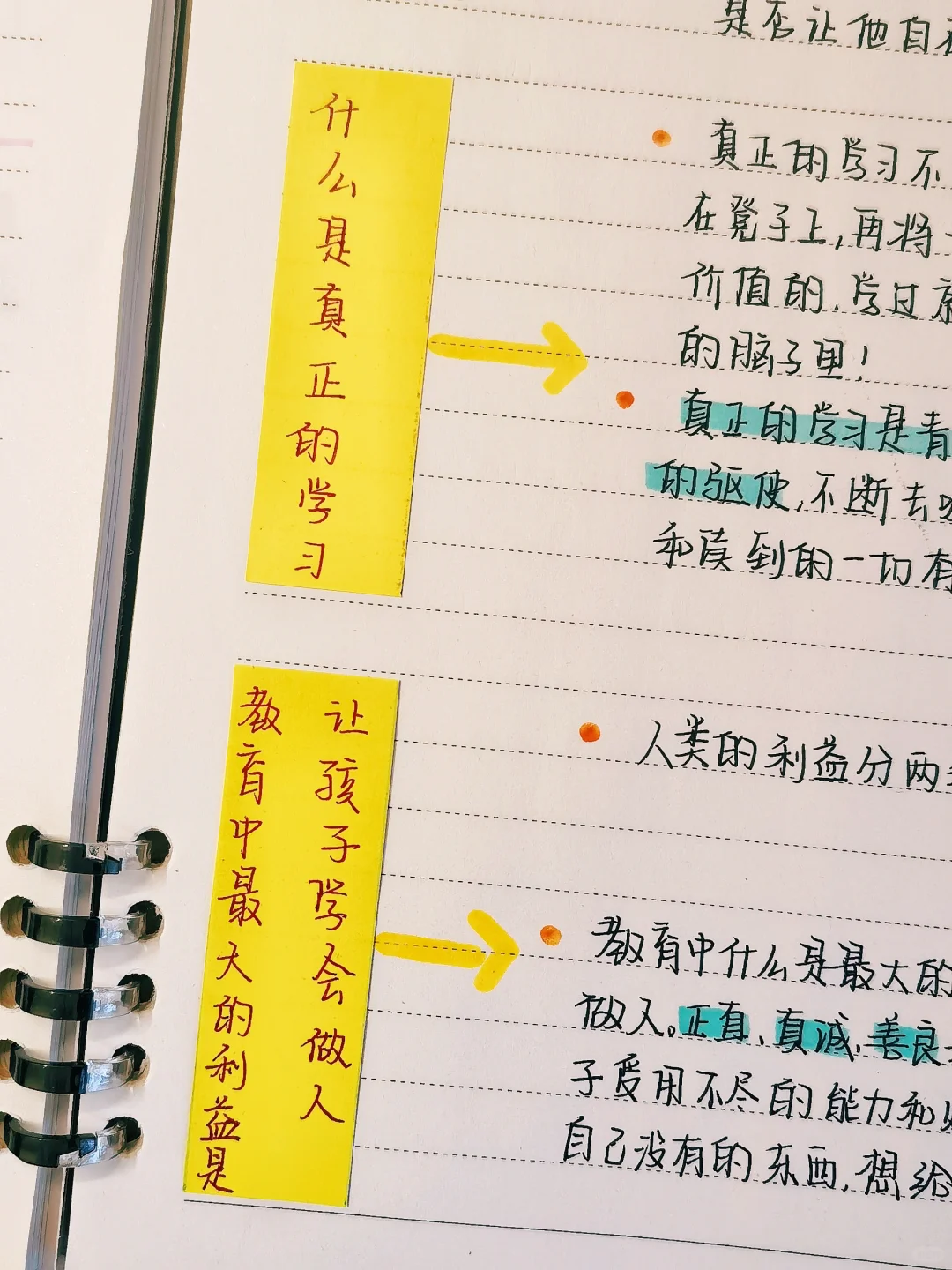 读书笔记📕51|《爱与自由》