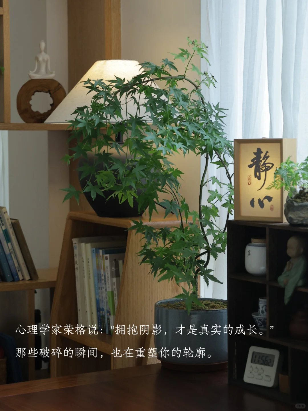 允许，万物穿越自己～
