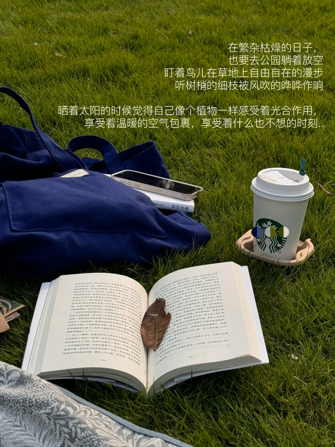我的解压方式：晒太阳 读书 逛公园 不联系