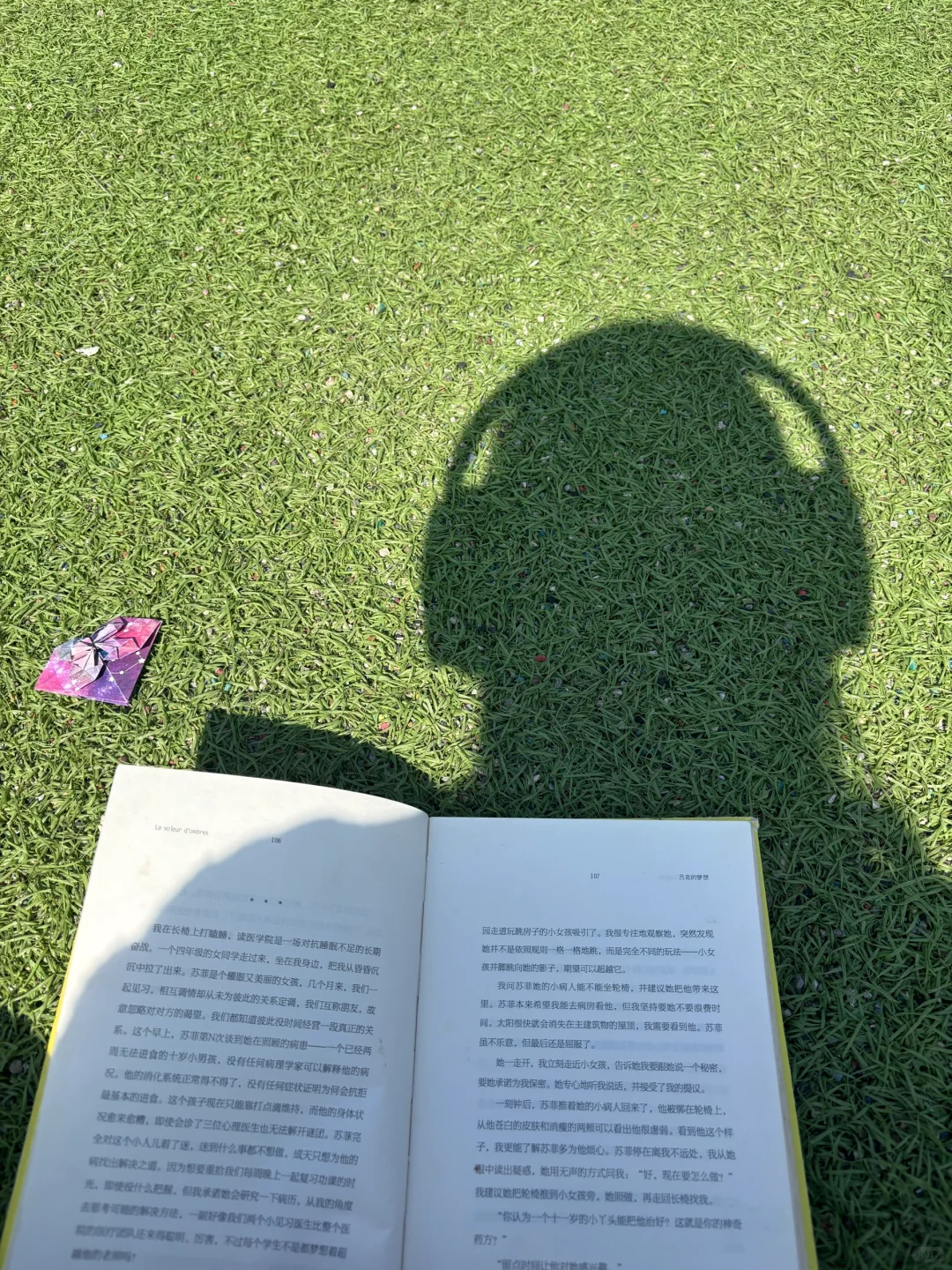 阳光☀️正好