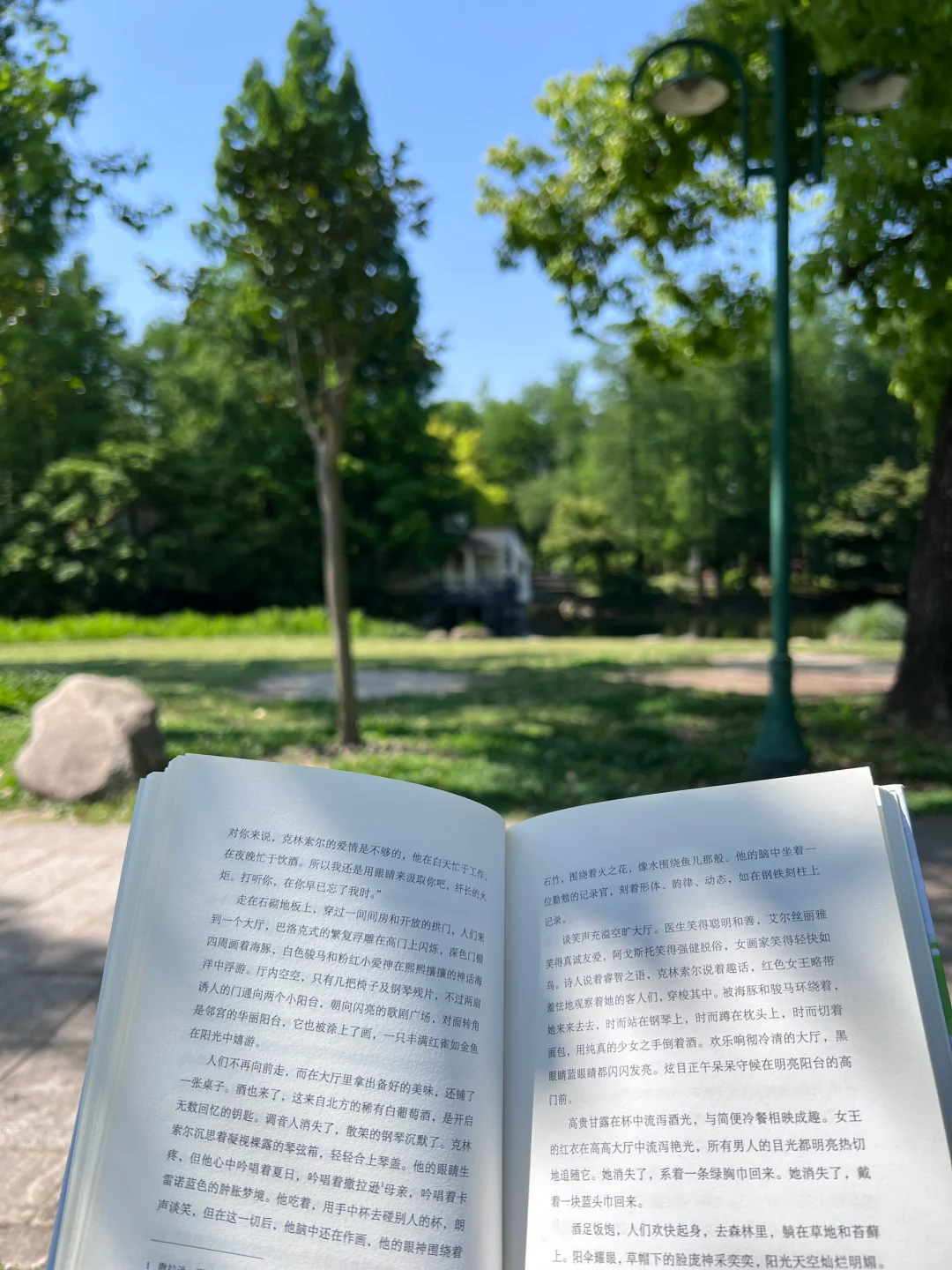 由衷的爱着每一个好天气