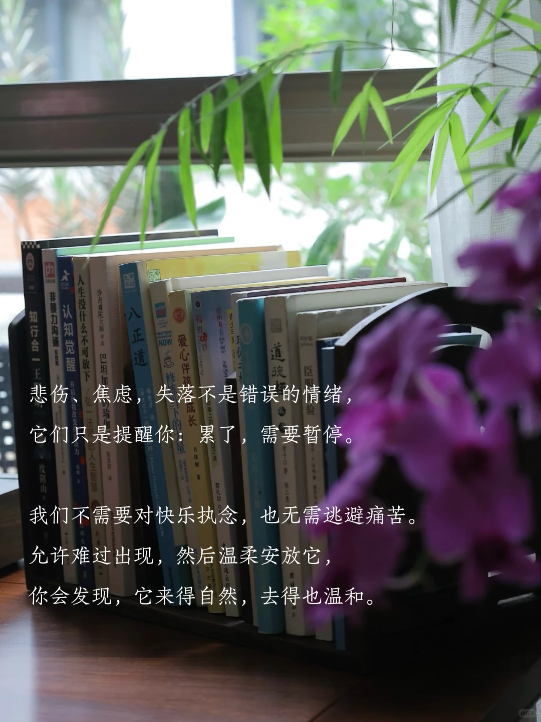 允许，万物穿越自己～