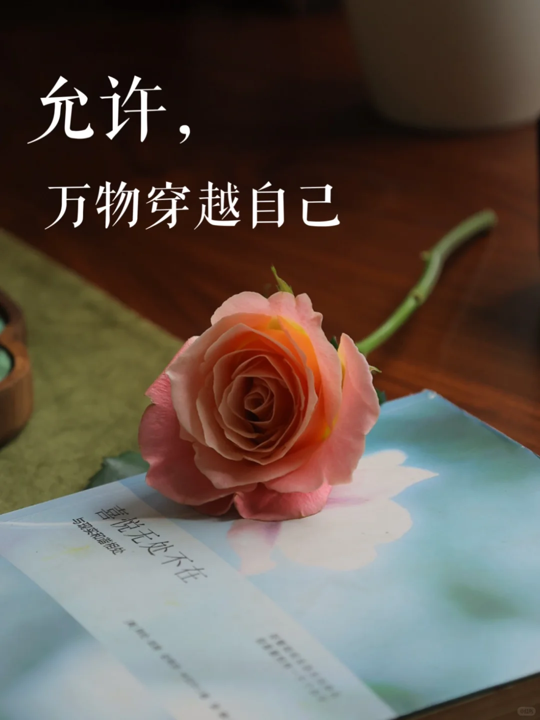 允许，万物穿越自己～