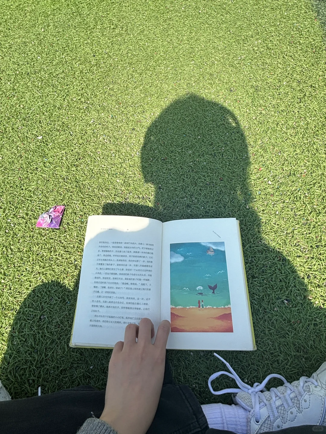 阳光☀️正好