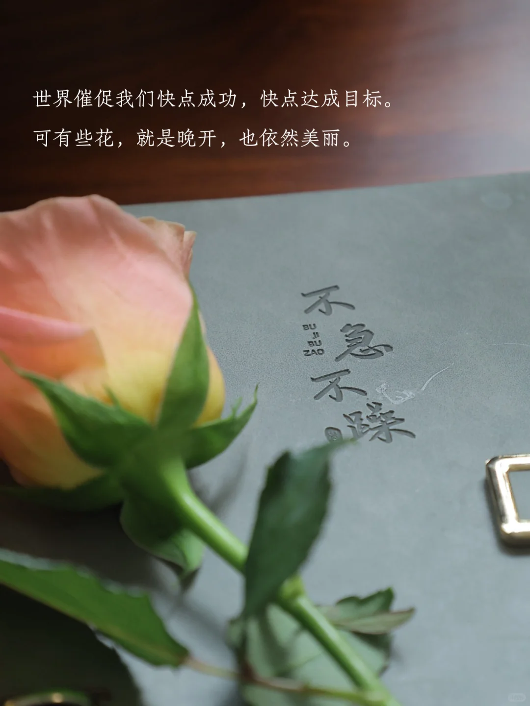 允许，万物穿越自己～
