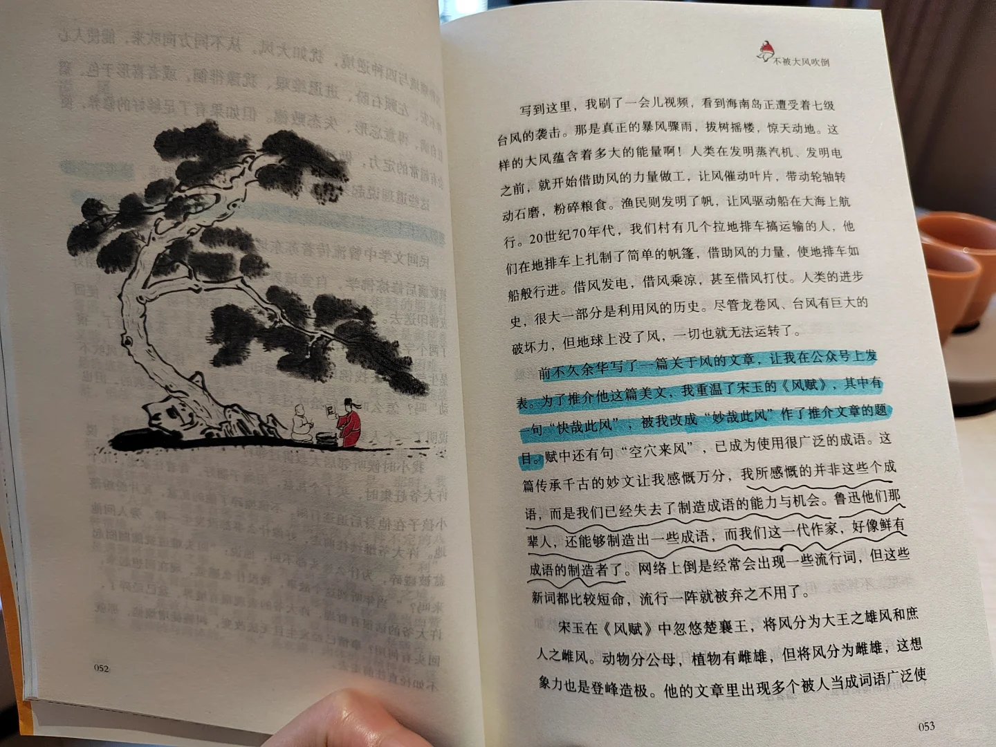 今天读了点书，很满足📖