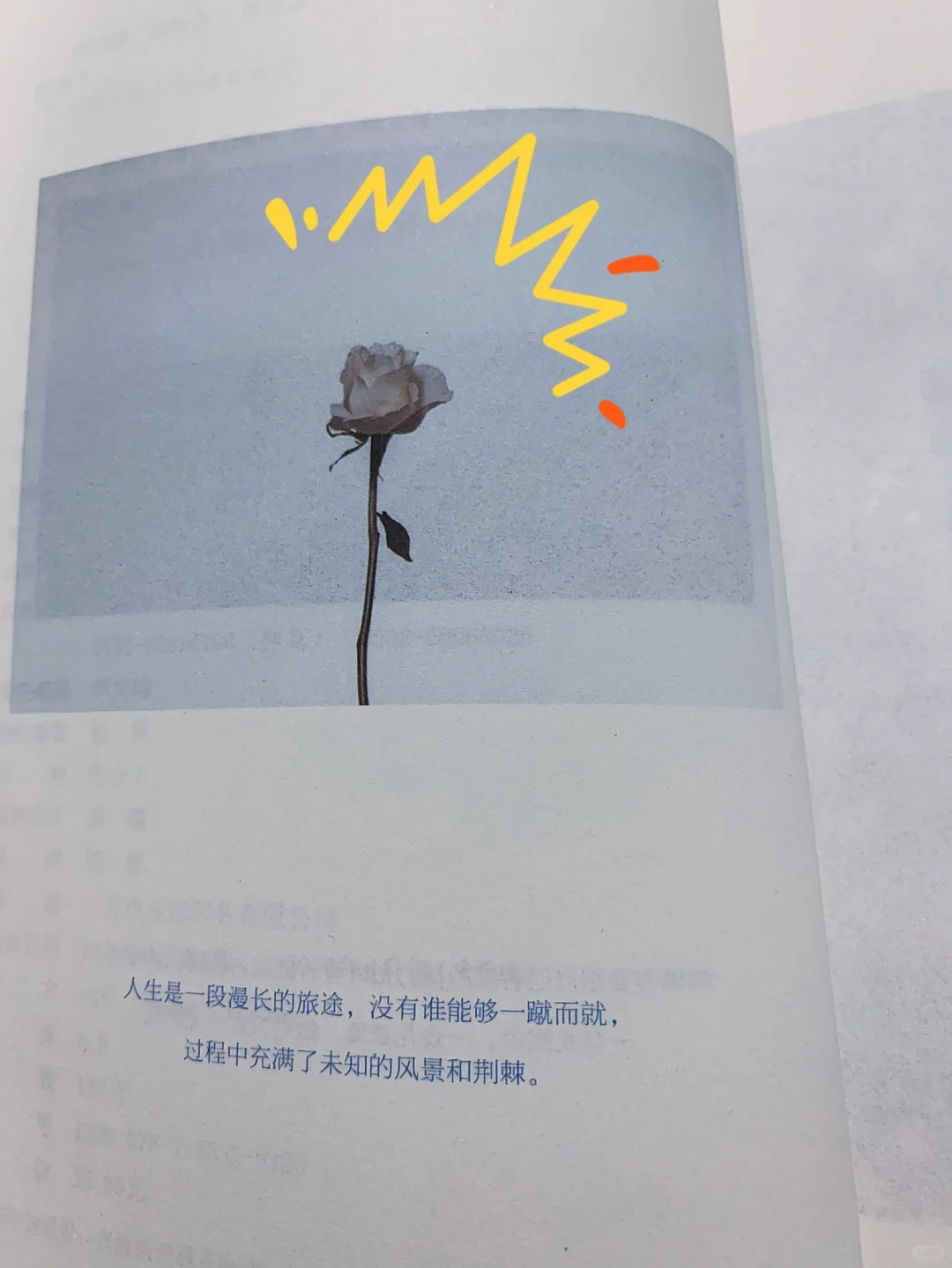 自律能让我们成为更好的自己～