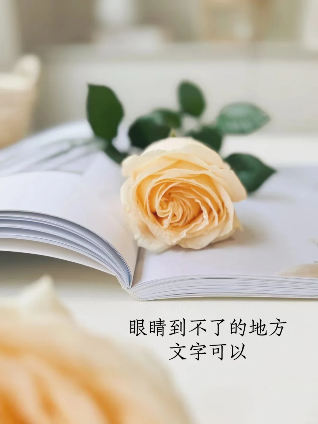 读书是一生zui好的投zi
