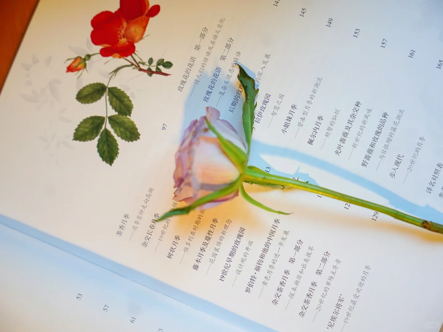 书桌日常 |一个人只有独处时，才能成为自己