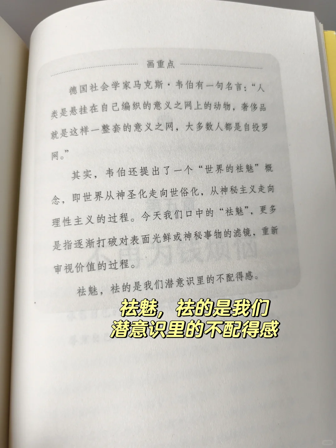 如果你有金钱焦虑，一定要读一读它📚
