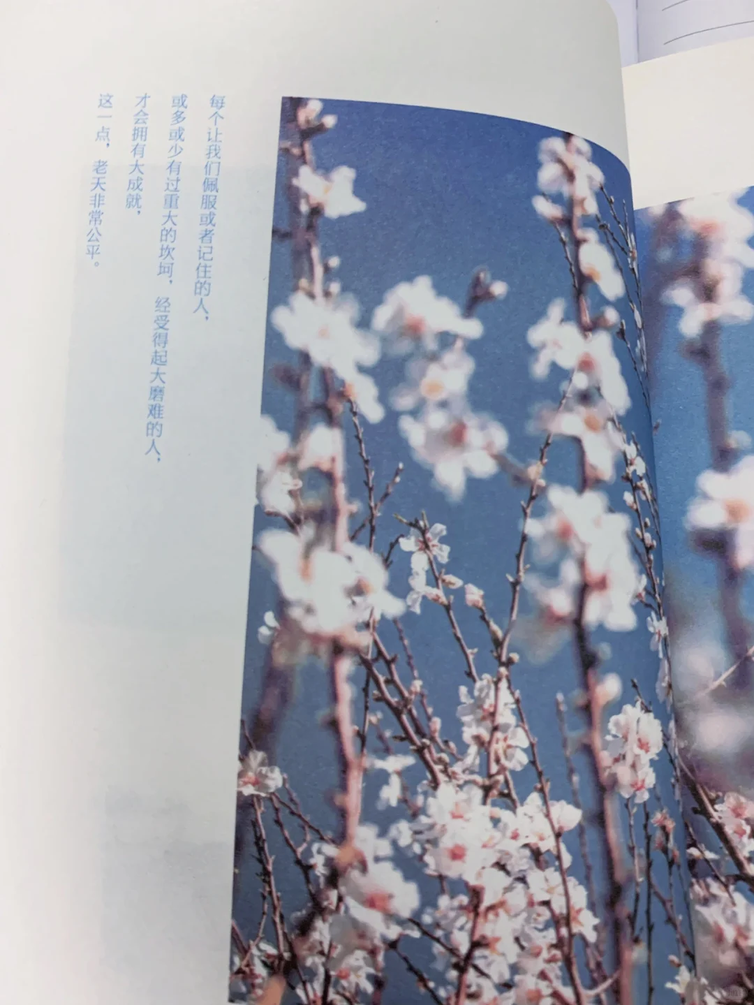 自律能让我们成为更好的自己～