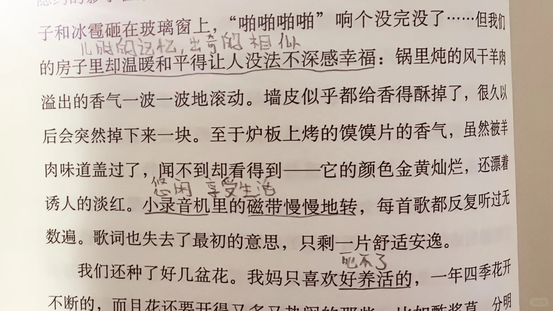 100天读书打卡
