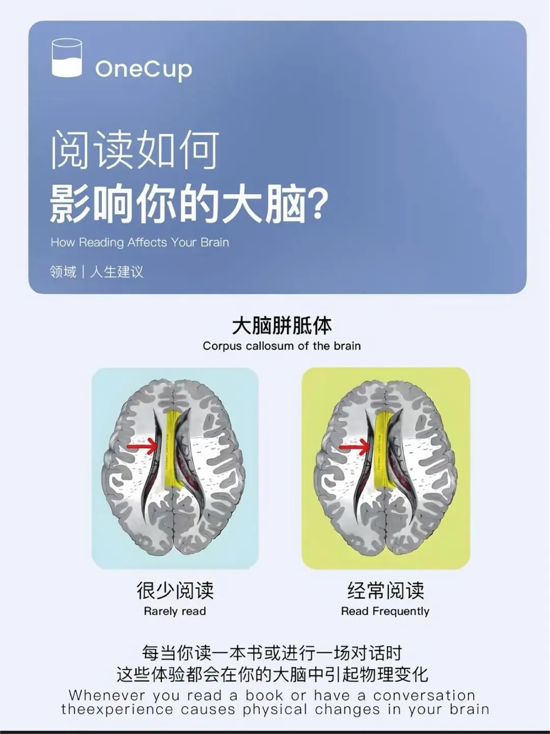 阅读如何影响你的大脑？