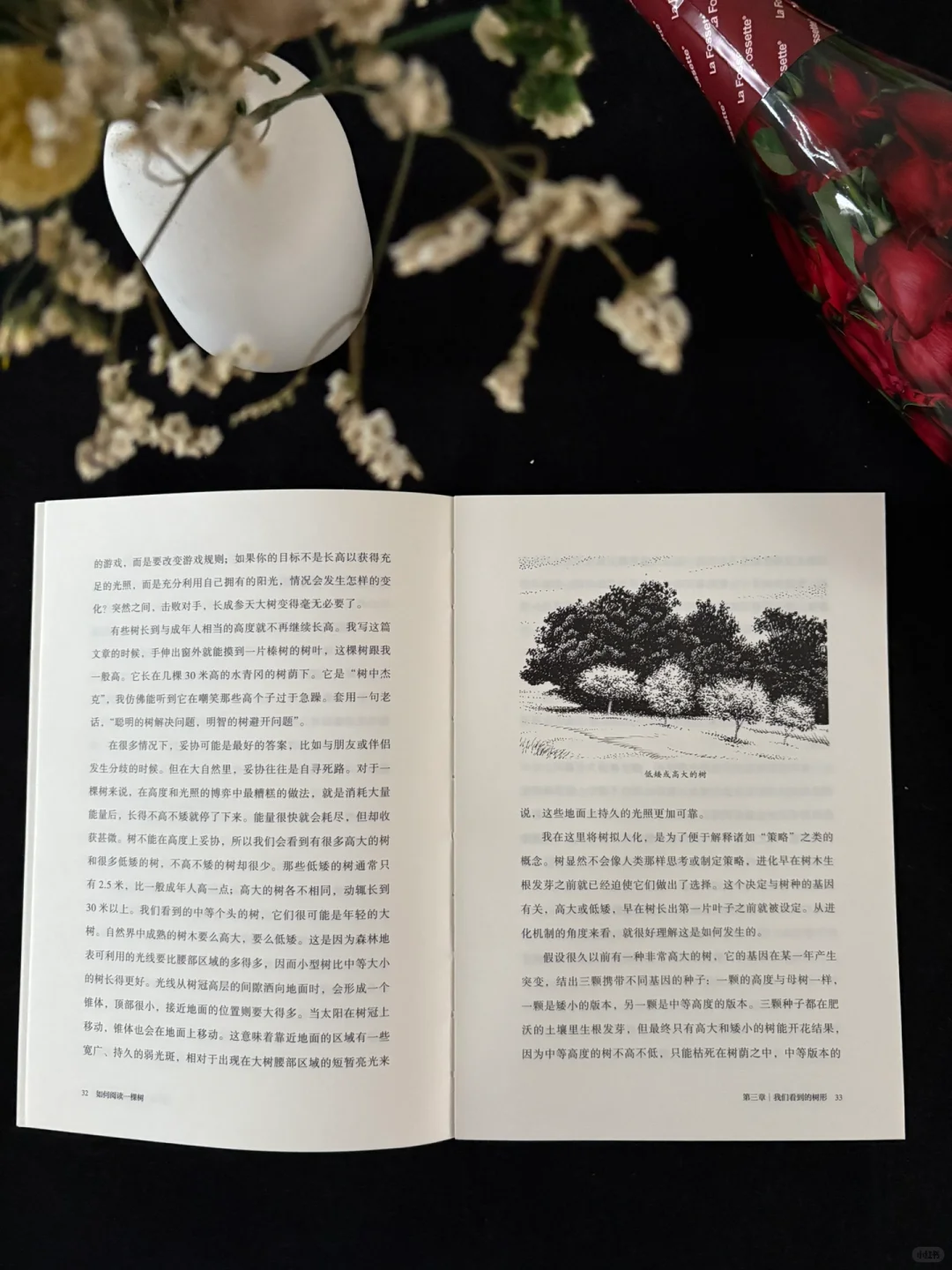 🍃这本书的知识点太丰富了！地位无人撼动！