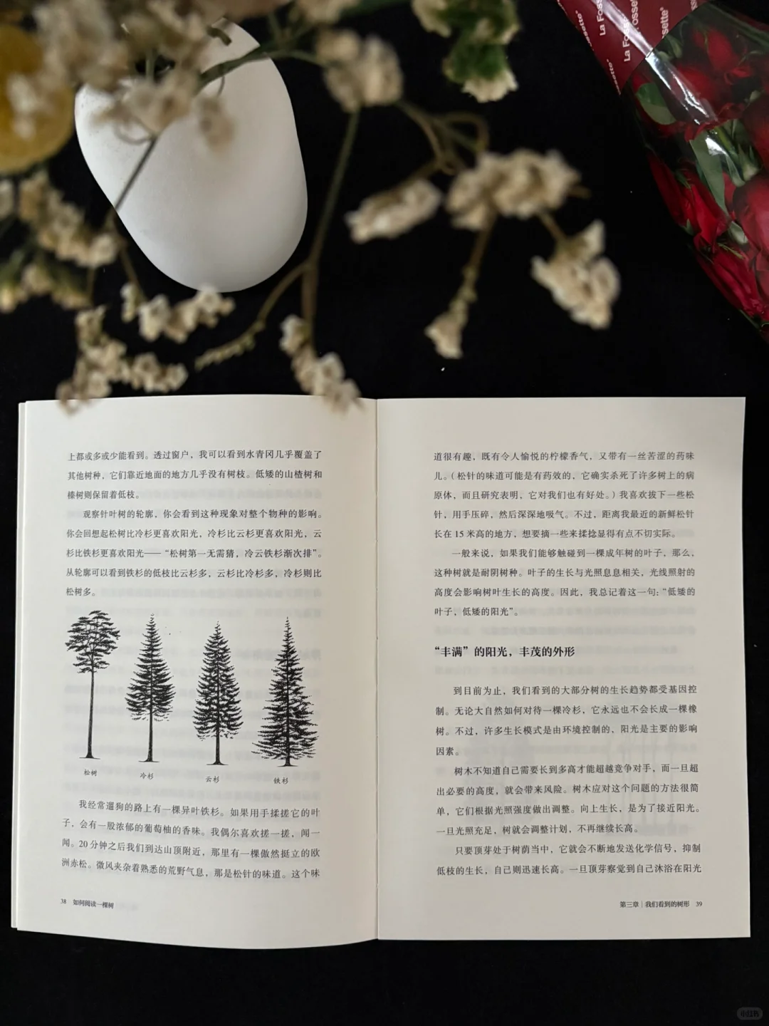 🍃这本书的知识点太丰富了！地位无人撼动！