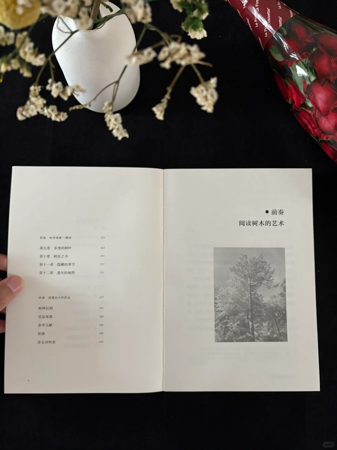 🍃这本书的知识点太丰富了！地位无人撼动！