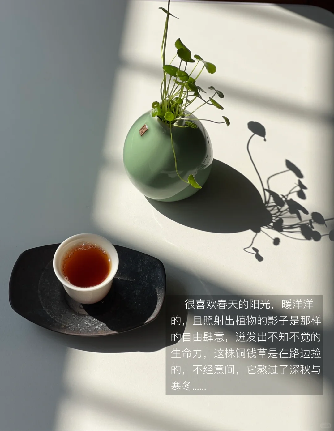 解压日常：喝茶、晒太阳、独处、不联系