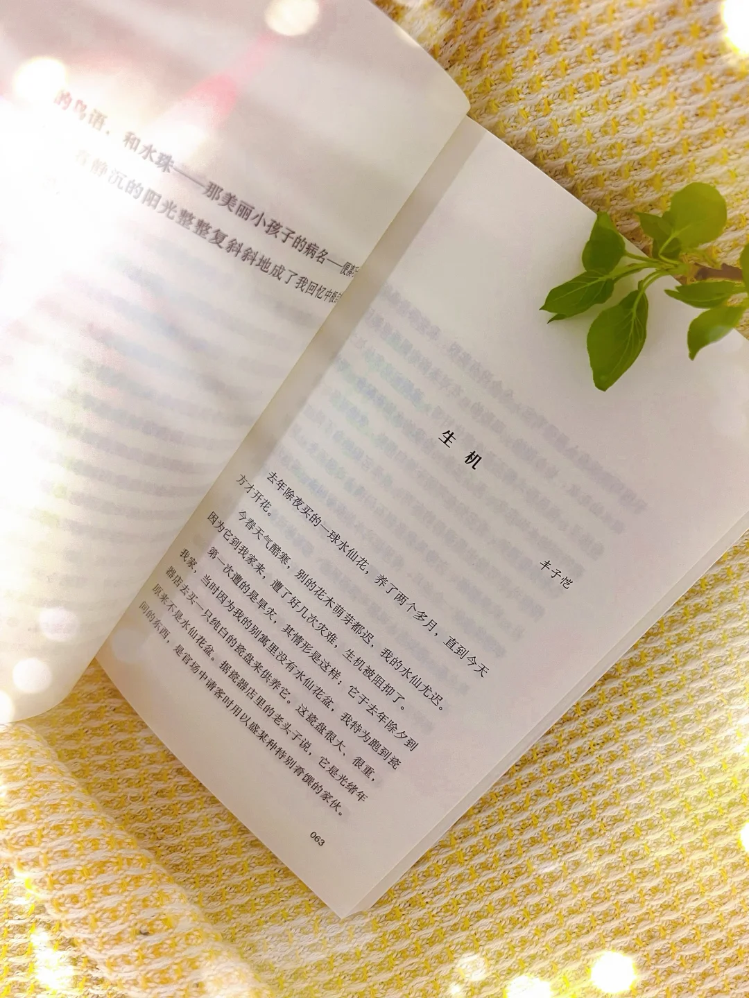 《孩子，生活本来自在又有趣》：解锁生活的多彩