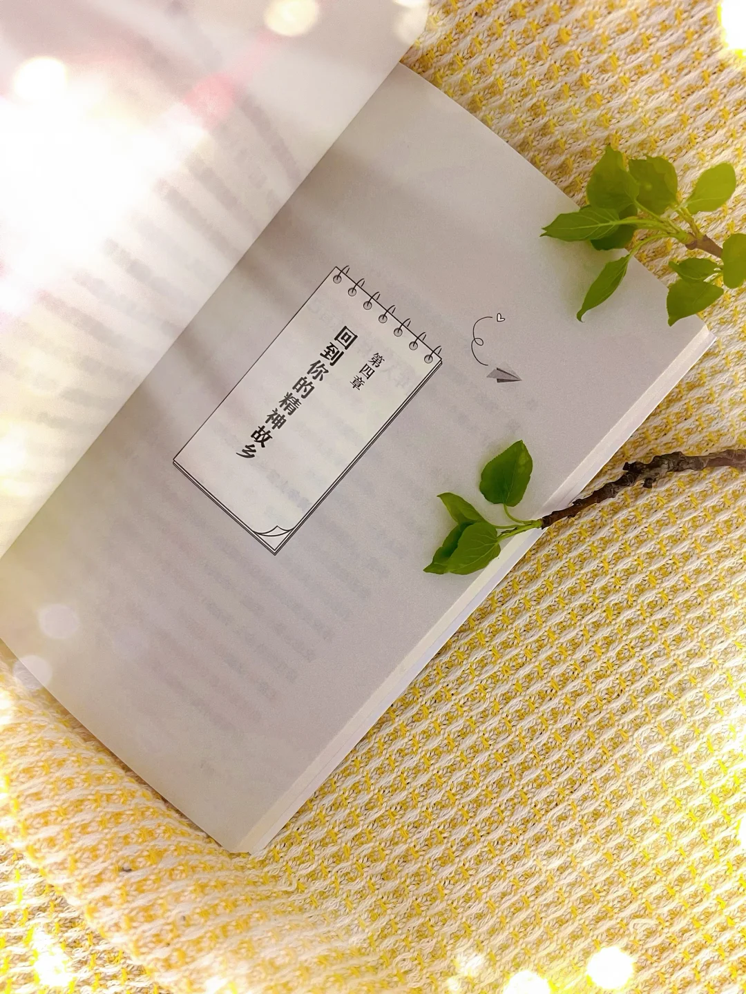 《孩子，生活本来自在又有趣》：解锁生活的多彩