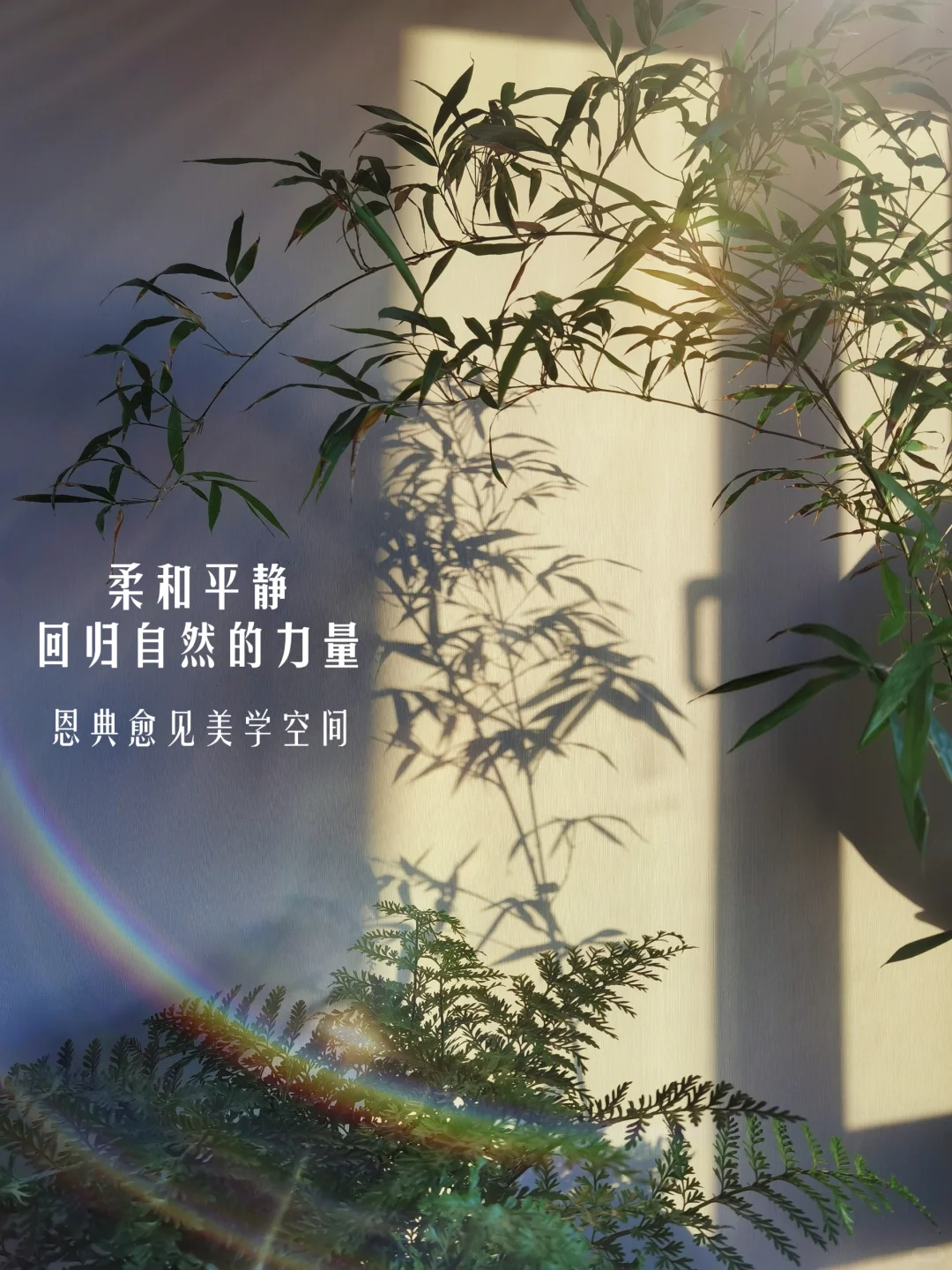 围炉煮茶共读一本书