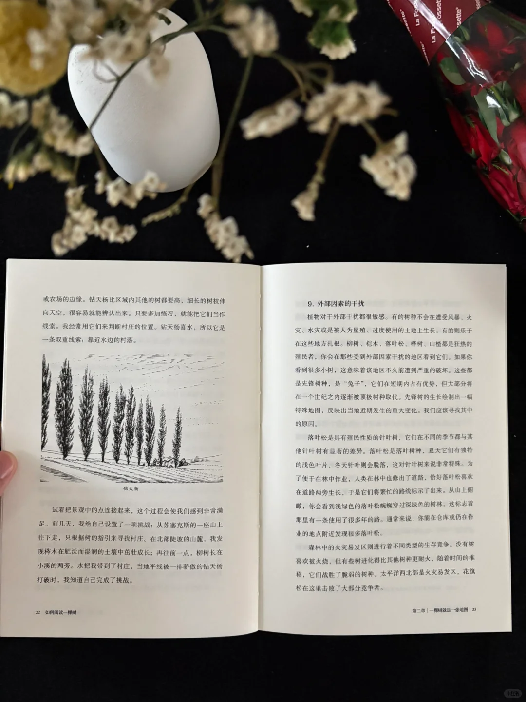 🍃这本书的知识点太丰富了！地位无人撼动！